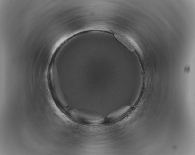 X0000090760944200707201500