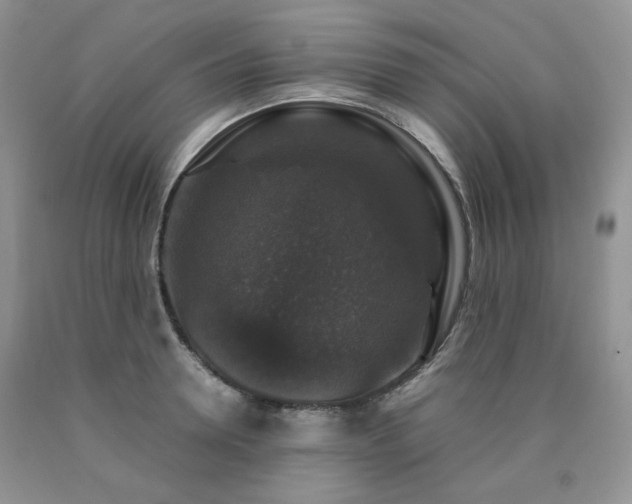 X0000090760946200707201500