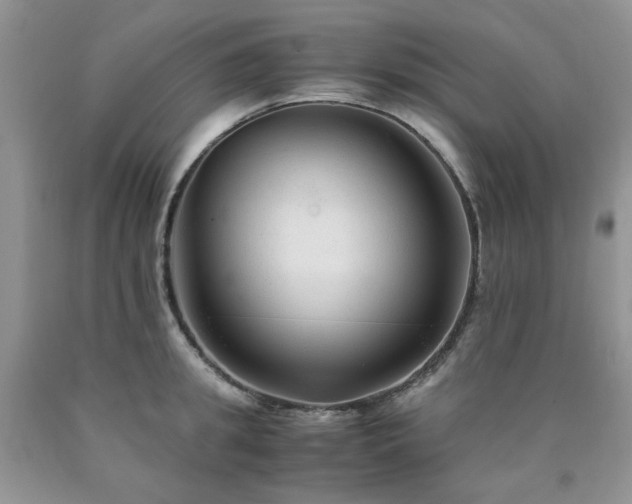 X0000090760949200707201500