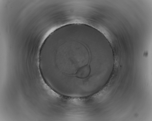 X0000090760950200707201500