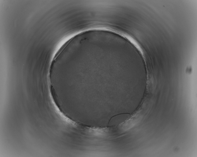 X0000090760951200707201500