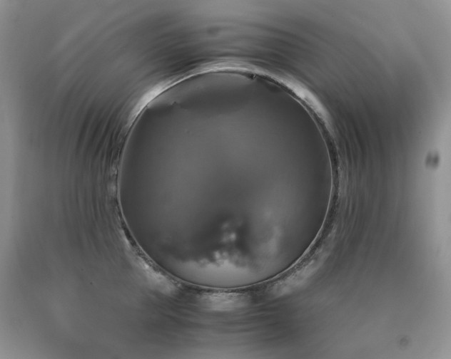 X0000090760953200707201500