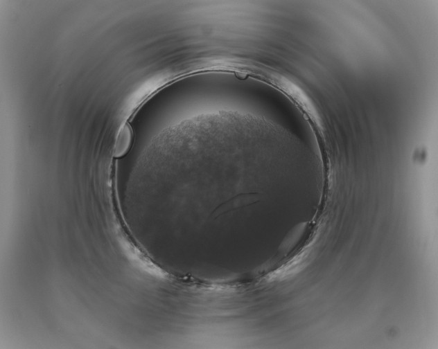 X0000090760954200707201500