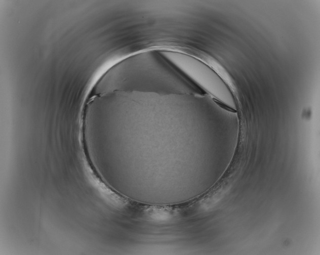 X0000090760955200707201500