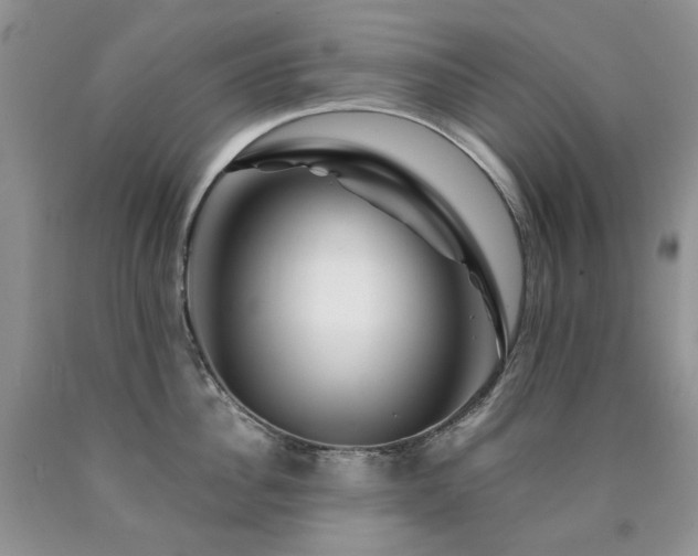 X0000090760956200707201501