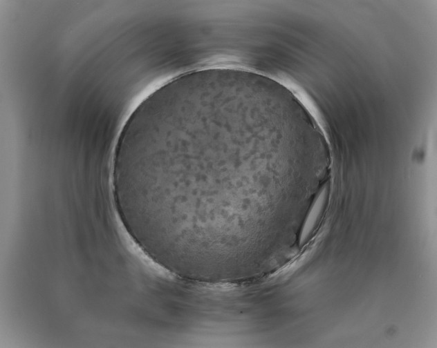 X0000090760957200707201501