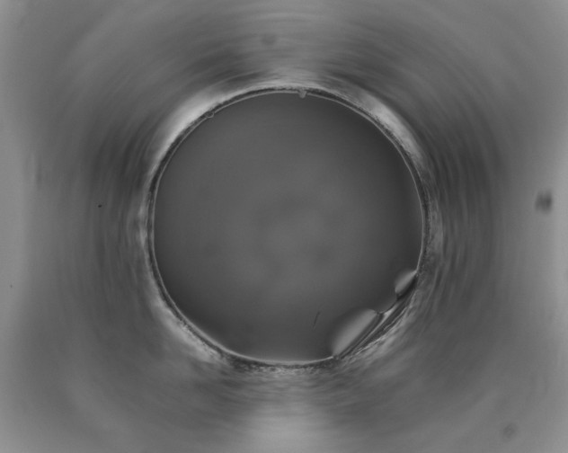 X0000090760958200707201501