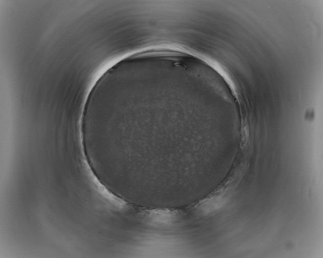 X0000090760959200707201501