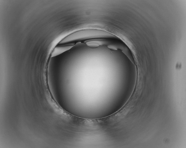 X0000090760960200707201501