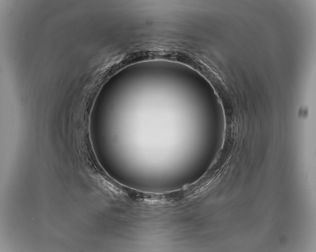 X0000090760961200707201500