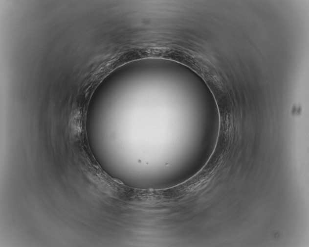 X0000090760962200707201500