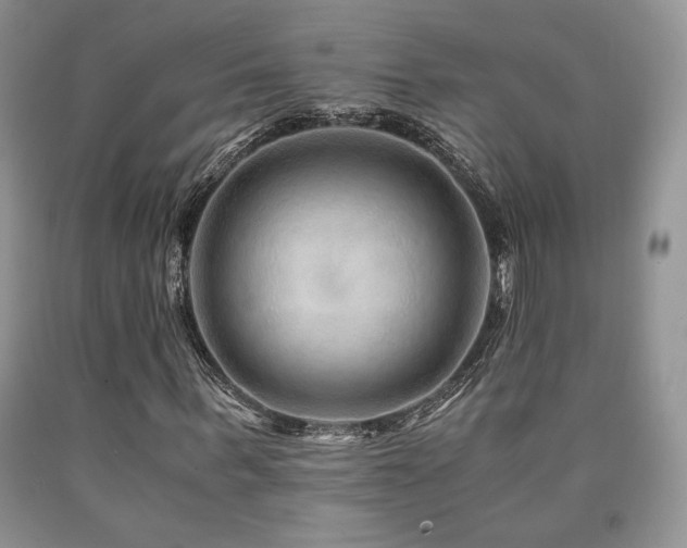 X0000090760963200707201500