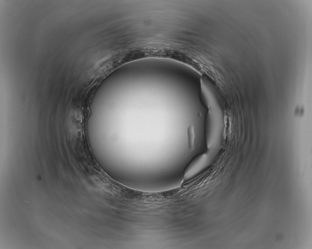 X0000090760964200707201500