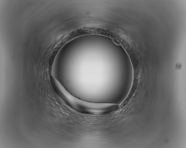 X0000090760965200707201500