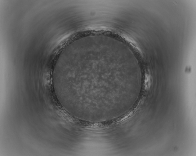 X0000090760966200707201500