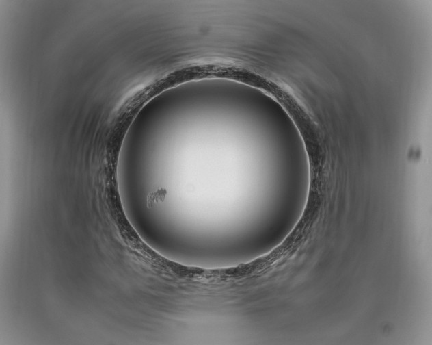 X0000090760967200707201500