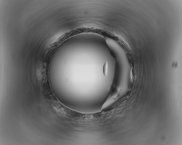 X0000090760968200707201500