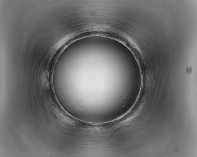 X0000090760970200707201500