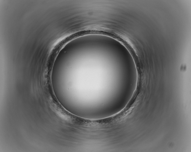 X0000090760971200707201500