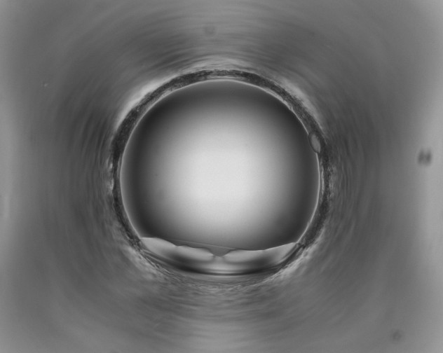 X0000090760973200707201500