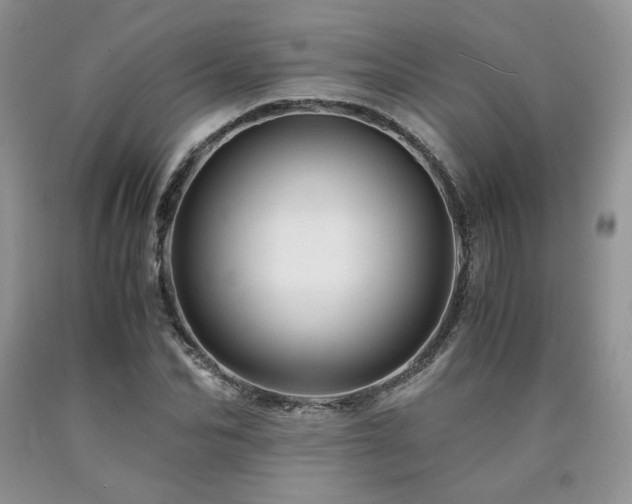 X0000090760974200707201500