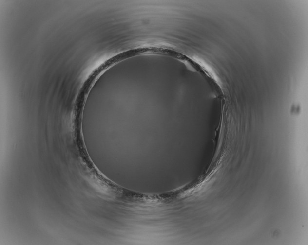 X0000090760975200707201500