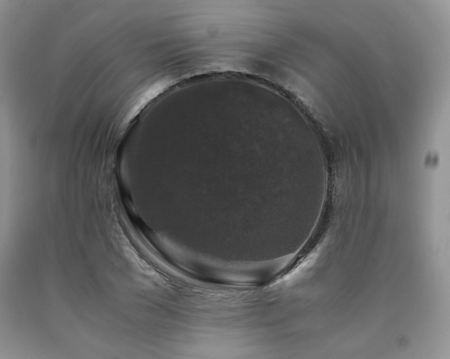 X0000090760977200707201500