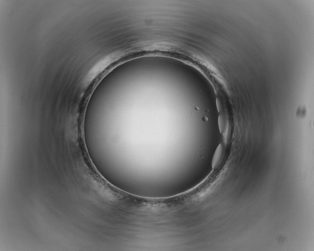 X0000090760978200707201500