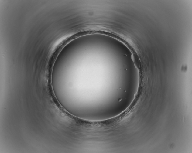 X0000090760979200707201500