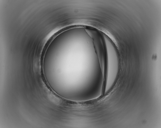 X0000090760980200707201500