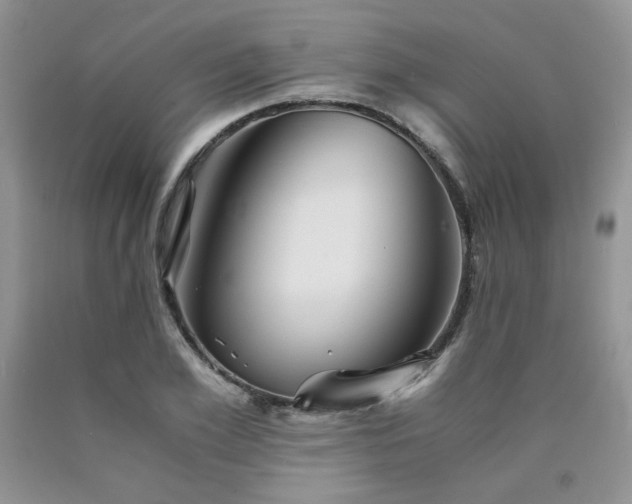 X0000090760981200707201500