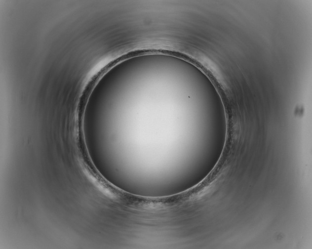 X0000090760982200707201500