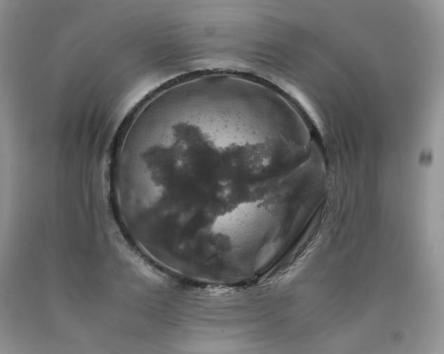 X0000090760983200707201500