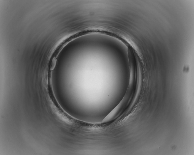 X0000090760984200707201500