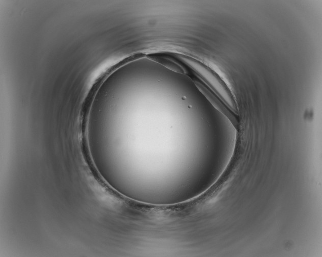 X0000090760987200707201500