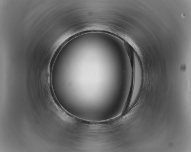 X0000090760988200707201500