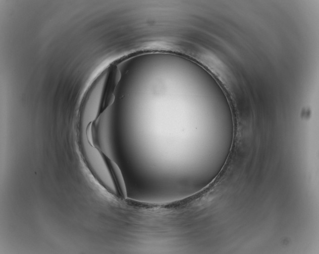 X0000090760992200707201500