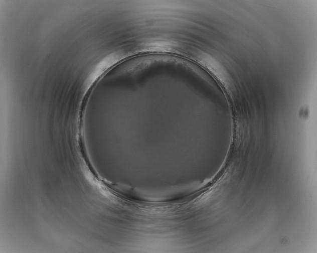 X0000090760994200707201500