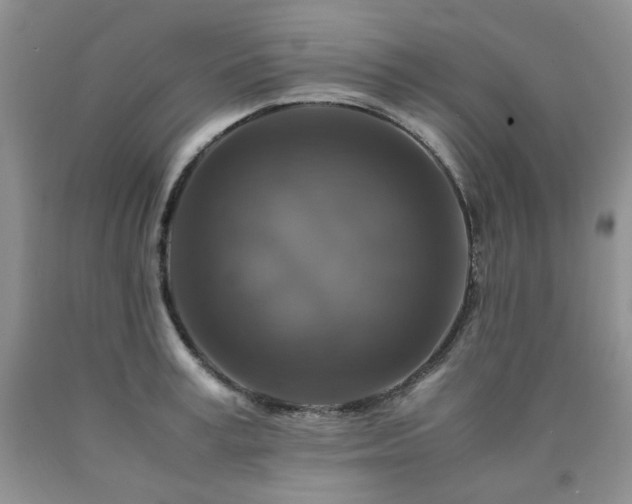 X0000090760995200707201500