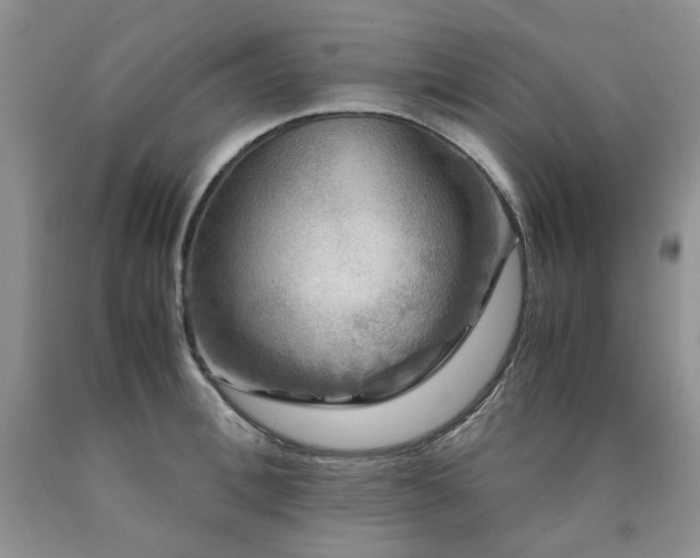 X0000090760996200707201500