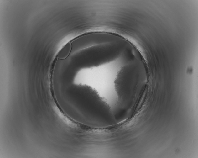 X0000090760998200707201459