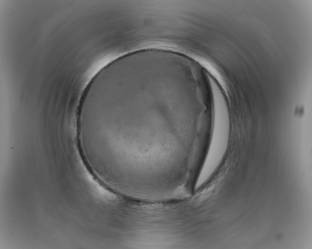 X0000090760999200707201459