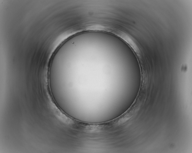 X0000090761000200707201459