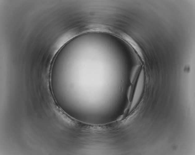 X0000090761002200707201459