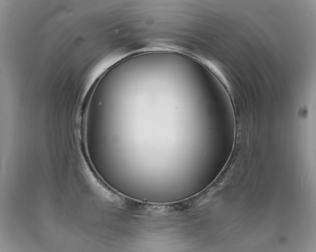 X0000090761003200707201459