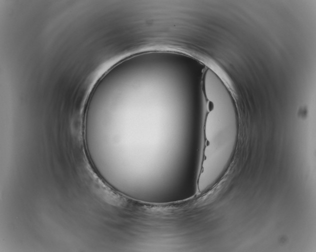 X0000090761004200707201459