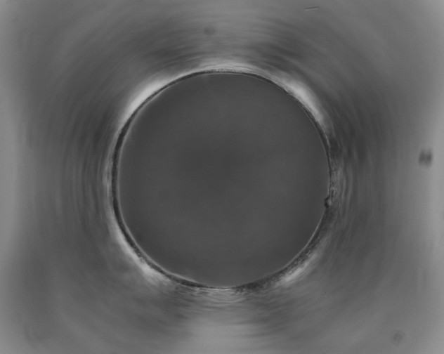 X0000090761007200707201459