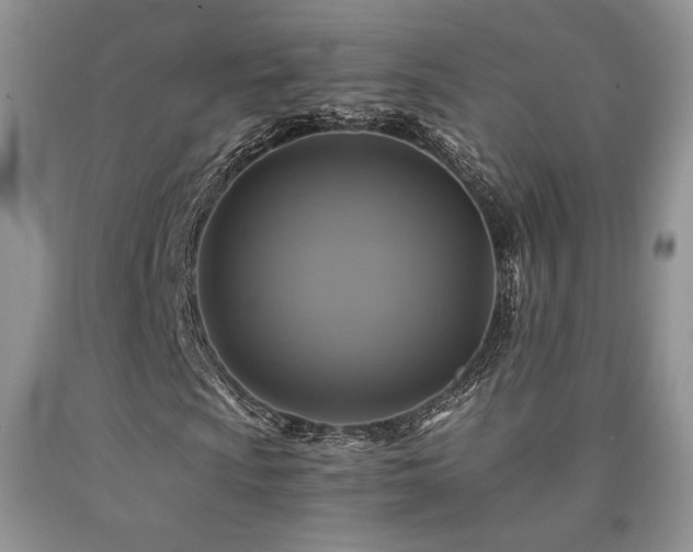 X0000090761009200707201459