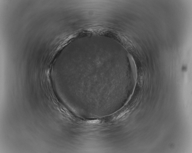 X0000090761010200707201459