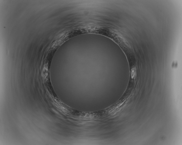 X0000090761011200707201459